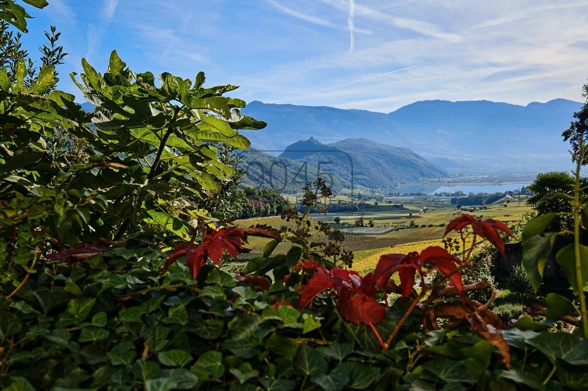 Exklusives Haus am Kalterer See - Langzeitmiete in einmaliger Lage in Kaltern, Immobilie von 9045 REAL ESTATE
