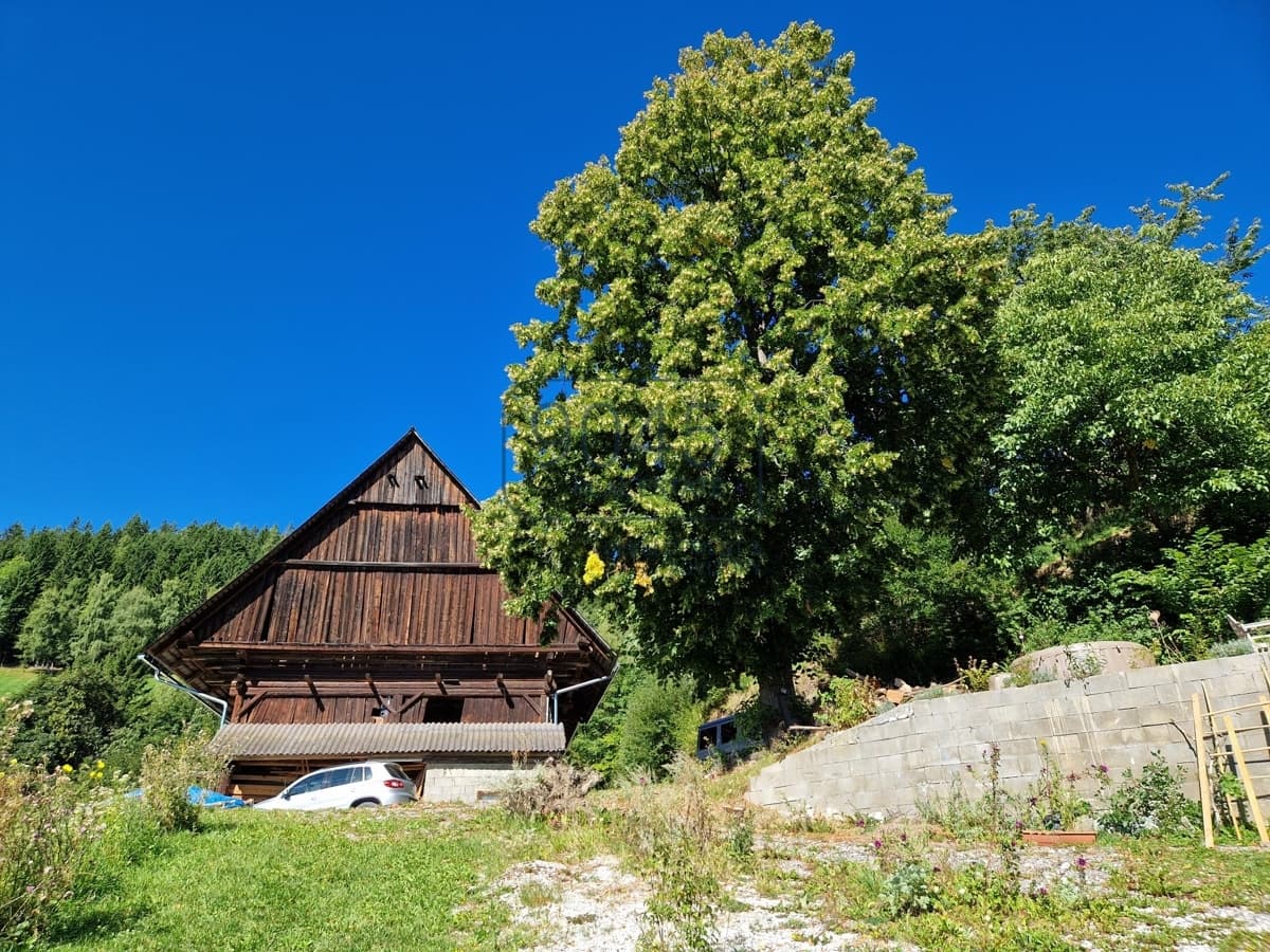 61 ha Naturvermögen in Traumlage - Bauernhaus mit Eigenquelle und Almanteilen bei Köflach - Steiermark, Foto 2 von 11