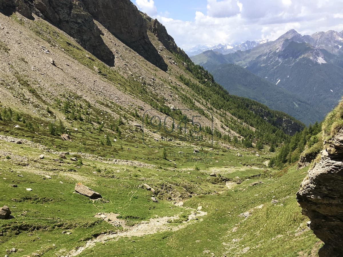 Einzigartig: Alm- und Waldeigentum samt potenzieller Jagdmöglichkeit am Brenner - Südtirol, Foto 2 von 6
