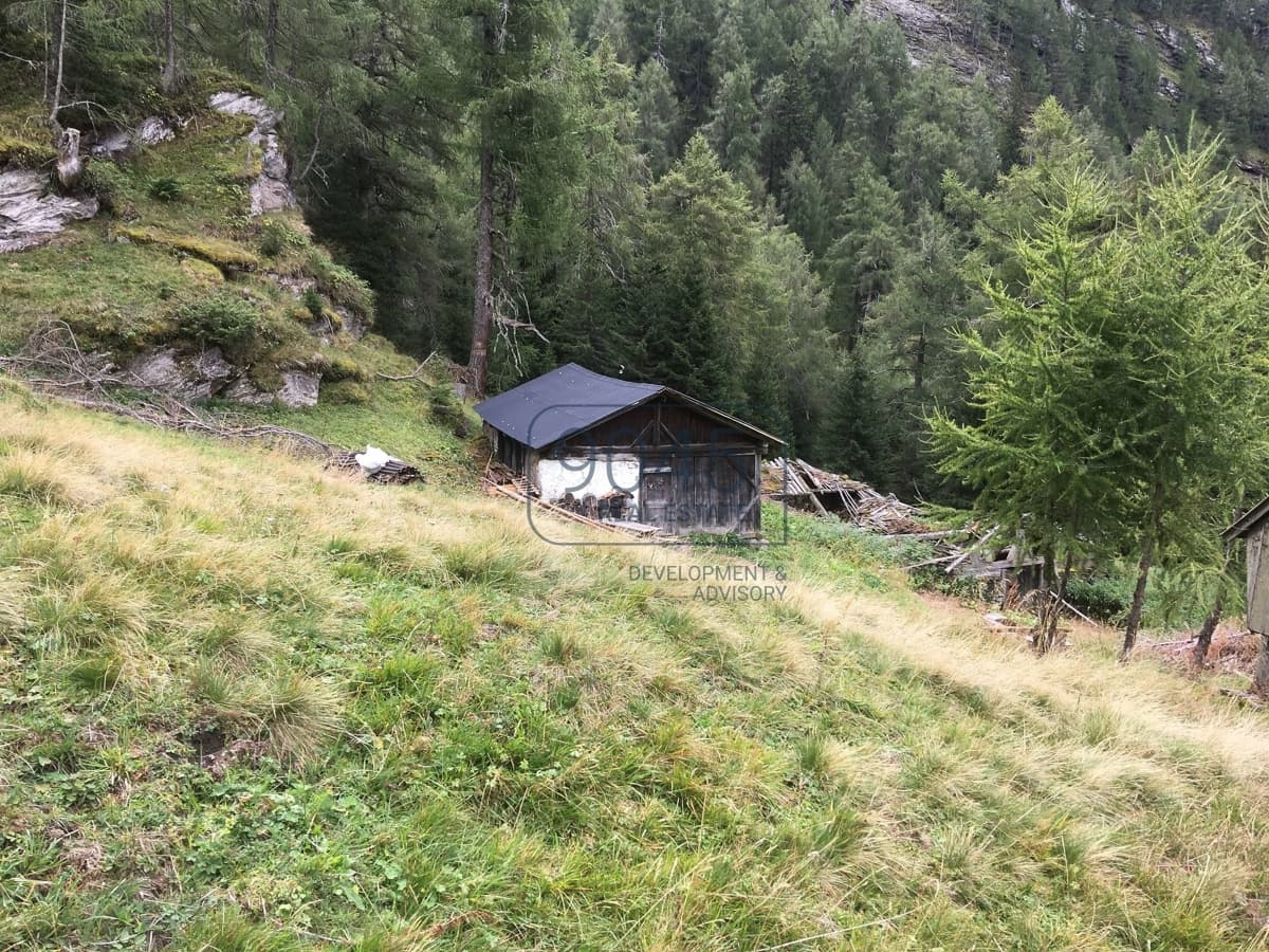 Einzigartig: Alm- und Waldeigentum samt potenzieller Jagdmöglichkeit am Brenner - Südtirol, Foto 3 von 6