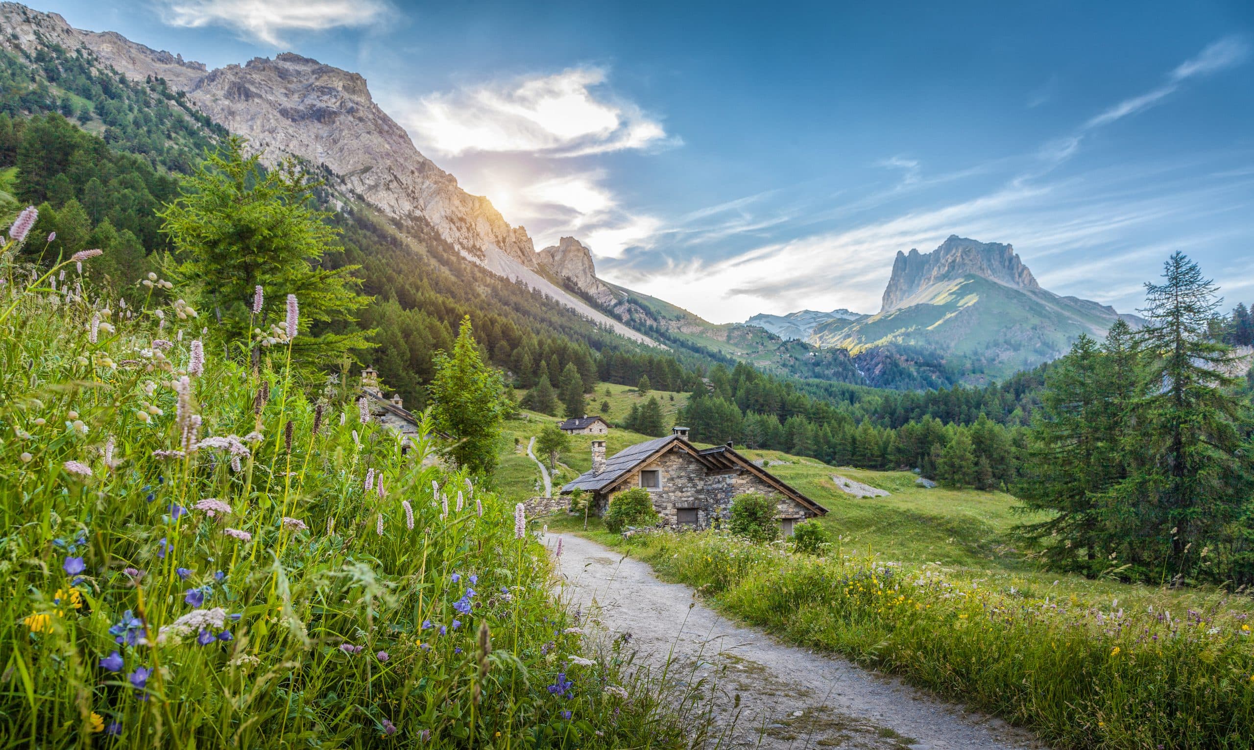 Old stone alpine chalet in a flowering meadow below the Dolomites, our core region