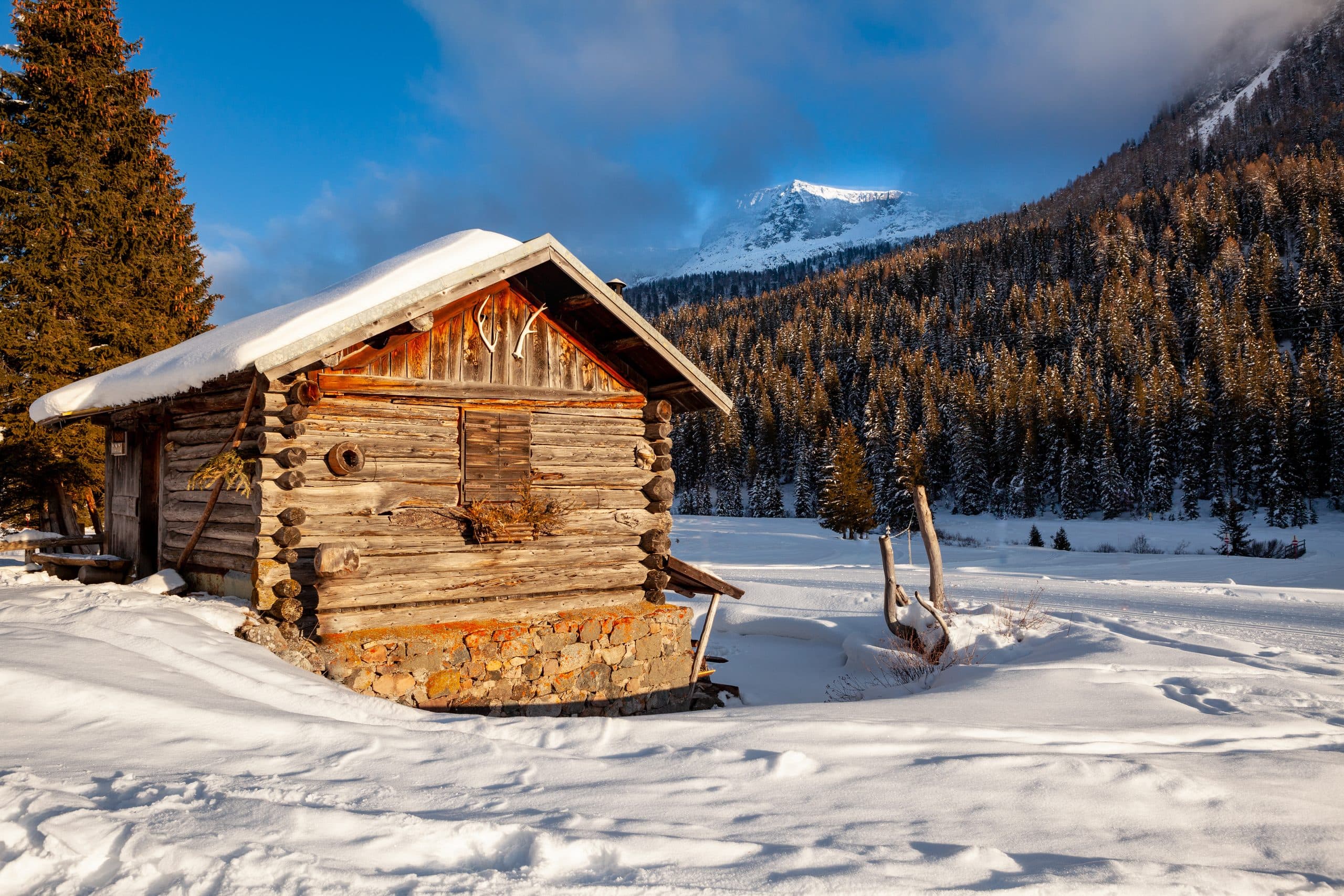 Almhütte aus Holz im Schnee vor Fichtenwald, Immobilienregion Bayern