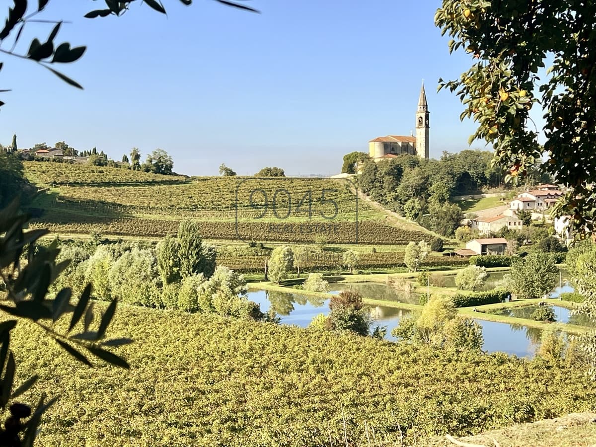 Piccola Azienda Agricola nelle dolci colline dei Colli Berici a Sarego - Vicenza a Sarego, immobile proposto da 9045 REAL ESTATE