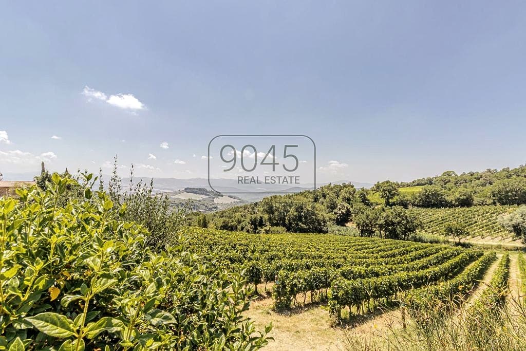 Vendita segreta: proprietà esclusiva con villa, vigneti biologici e potenziale di sviluppo vicino a Bolgheri - Toscana a Montecatini Val Di Cecina, immobile proposto da 9045 REAL ESTATE